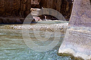 Jordan. Wadi Al Mujib Canyon in Wadi Mujib Nature Biosphere Reserve. Sheer cliffs of enormous height are polished