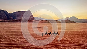 Jordan, Wadi Rum. Caravan of camels with drovers in the desert, rock mountains at sunset