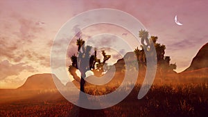 Joshua tree in canyon desert landscape at sunset 3D