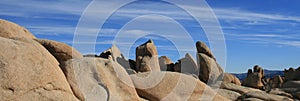 Joshua Tree geology panorama