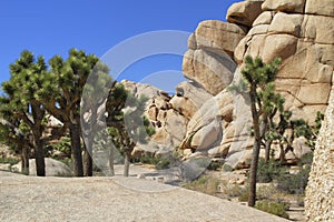 Joshua Tree Hidden Valley Rock Formations