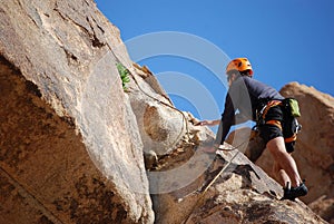 Joshua Tree Multi-Pitch