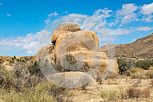 Joshua Tree National Park