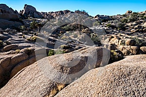 Joshua Tree National Park