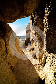 Joshua Tree National Park