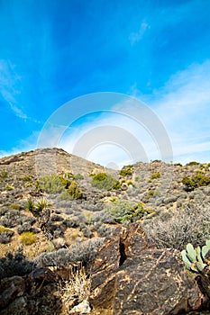 Joshua Tree National Park