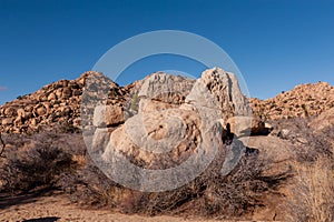 Joshua Tree National Park