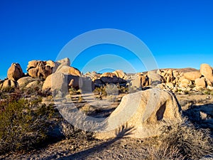 Joshua Tree National Park