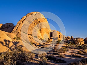 Joshua Tree National Park