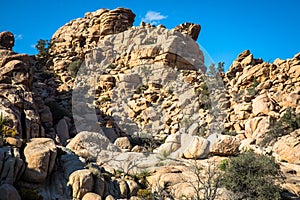 Joshua Tree National Park