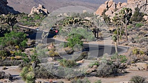 Joshua tree national park