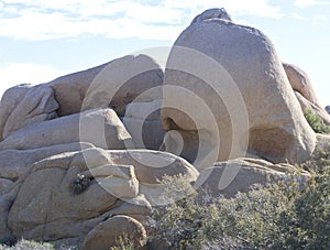 Joshua Tree National Park boulder formation skull rock