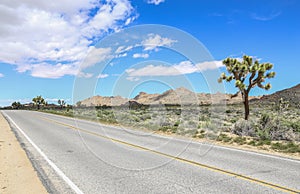 Joshua Tree National Park California