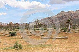 Joshua Tree National Park California