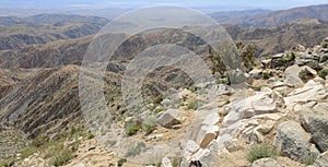 Joshua Tree National Park California