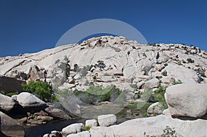 Joshua tree national park california barker dam landscape