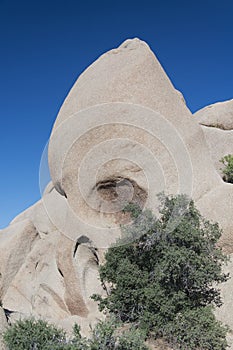 Joshua tree national park california skull rock