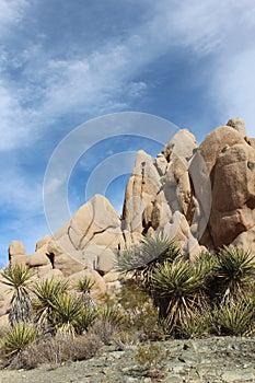 Joshua Tree National Park Geology