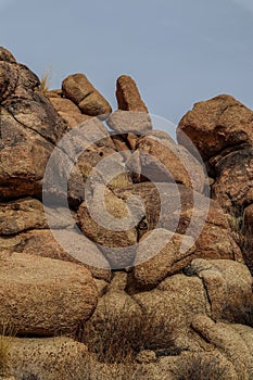 Joshua Tree National Park with its majestic desert landscape and beautiful rock formations and fauna