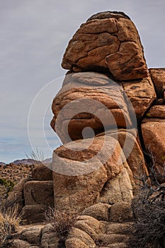 Joshua Tree National Park with its majestic desert landscape and beautiful rock formations and fauna