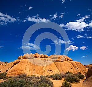 Joshua Tree National Park Jumbo Rocks Yucca valley Desert California