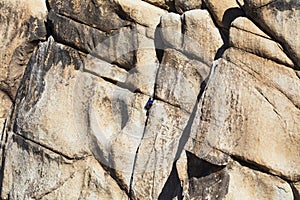 Joshua Tree National Park large boulder wall