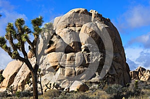 Joshua Tree National Park large rock formation