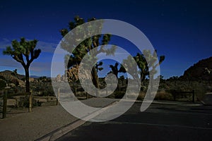 Joshua Tree National Park nighttime view