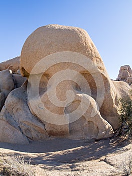 Joshua Tree National Park. Skull Rock.