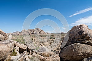 Joshua Tree National Park Typical View