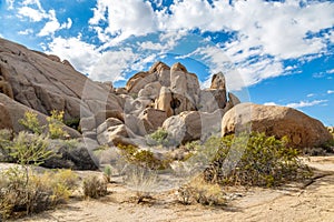 Joshua Tree National Park View