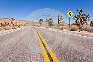 Joshua Tree National Park winding road sign