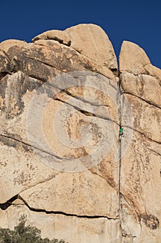 Joshua Tree Rock Climber