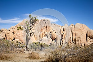 Joshua Tree rock formations