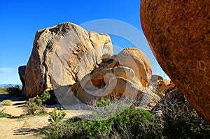 Joshua Tree Rocks