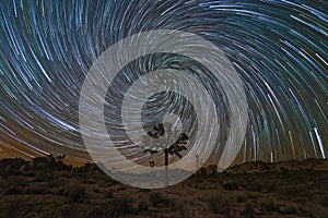 Joshua Tree Spiral Star Trails photo