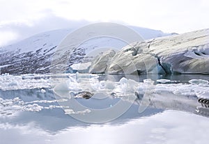 Jostedalsbreen glacier photo