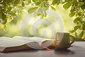Journal, business and education concept. Book and coffee cup over fresh nature of green leaf on greenery blurred background with