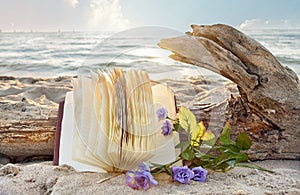 Časopis a ruže v pláž piesok 
