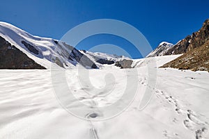 Journey through Altai mountains to Aktru. Hiking to snowy peaks of Altai mountains. Survival in harsh conditions, beautiful nature