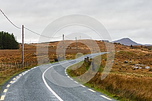 Journey in Connemara