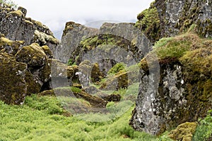 journey through the magnificent wilderness of Iceland