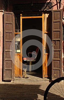 Journey through the streets of Marrakech in Morocco