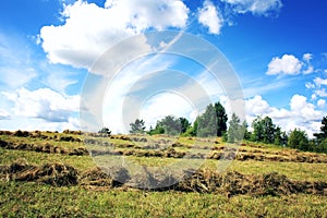 Journey to the north of Russia. Haymaking.