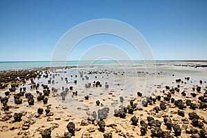 Journey through Western Australia