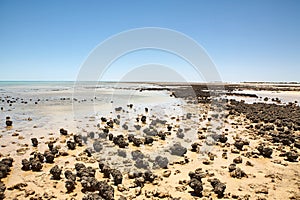 Journey through Western Australia