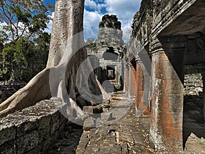 Journeying Through Banteay Kdei Sacred Trees and Grounds in Angkor Wat, Siem Reap, Cambodia photo