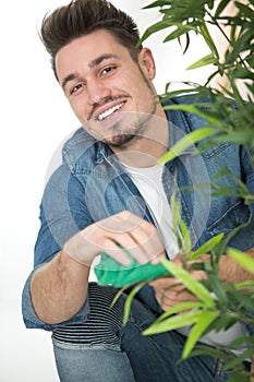 jovial man dusting leaves houseplant