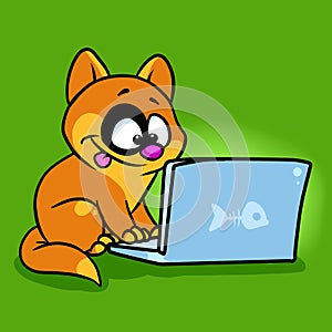 Joy cat looking computer laptop illustration cartoon