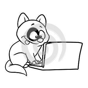 Joy cat looking computer laptop illustration cartoon coloring